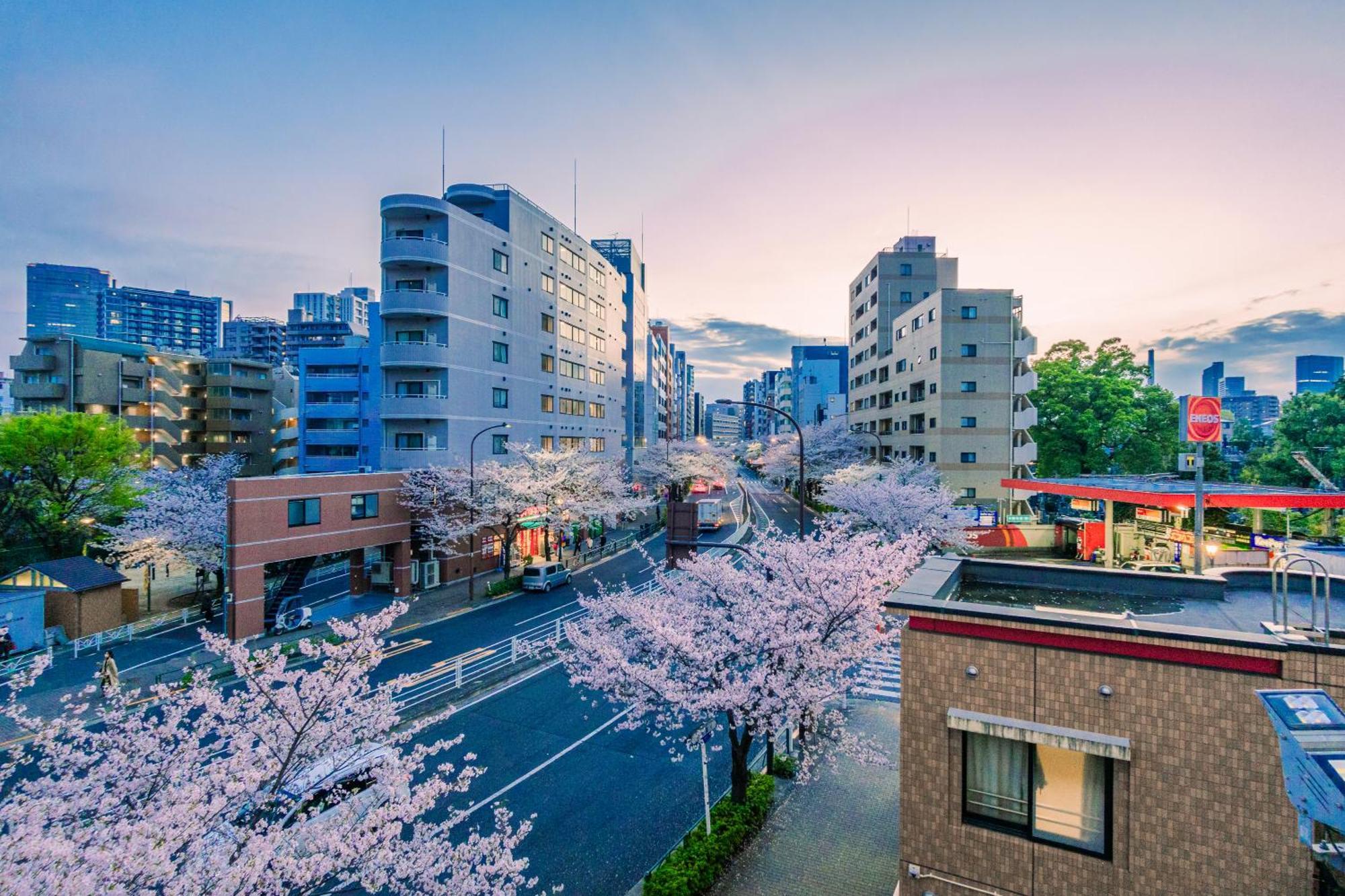 Apartament Sakura 301