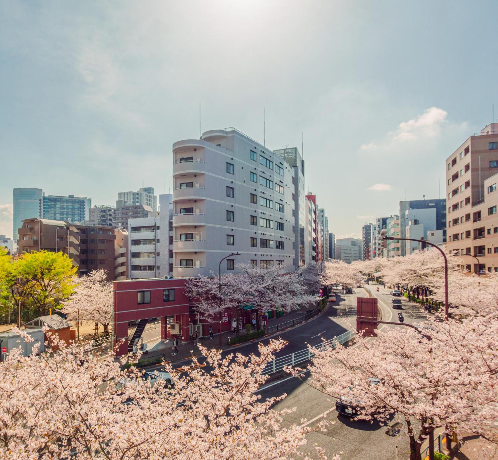 Apartament Sakura 301 Tokio